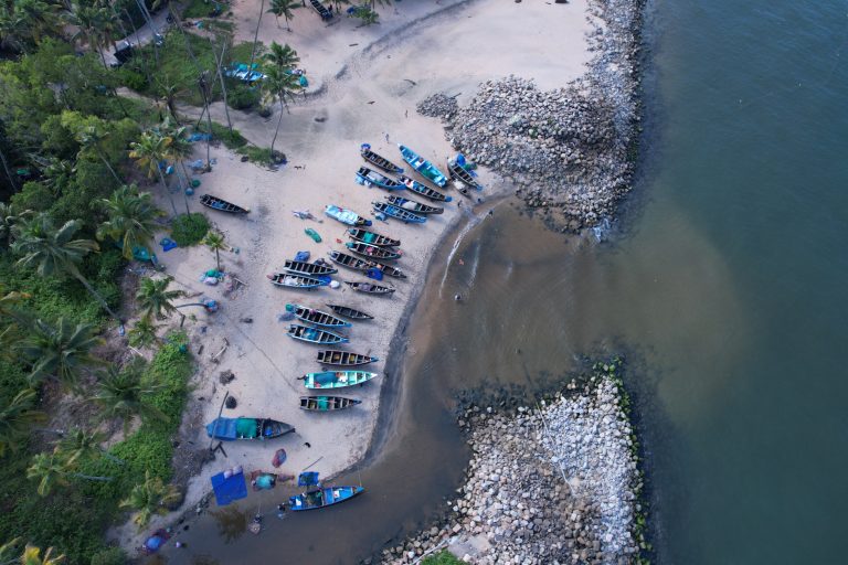 Ecorestoration and Climate Change