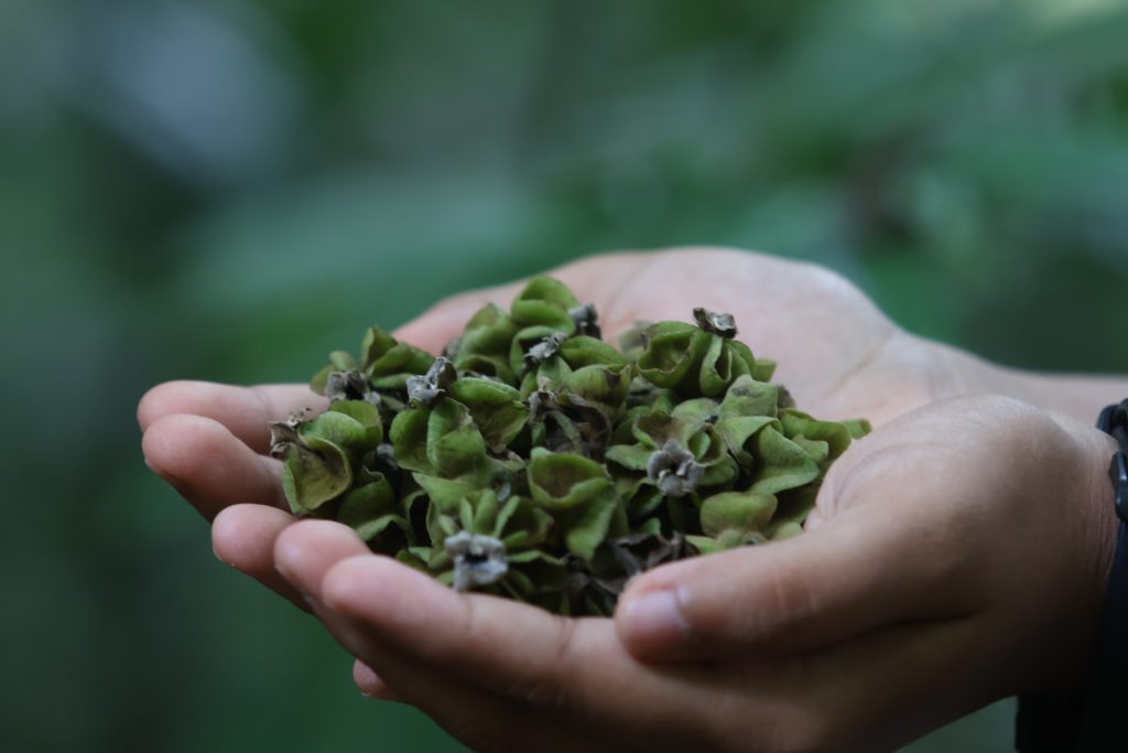 Nature Education and Outreach
