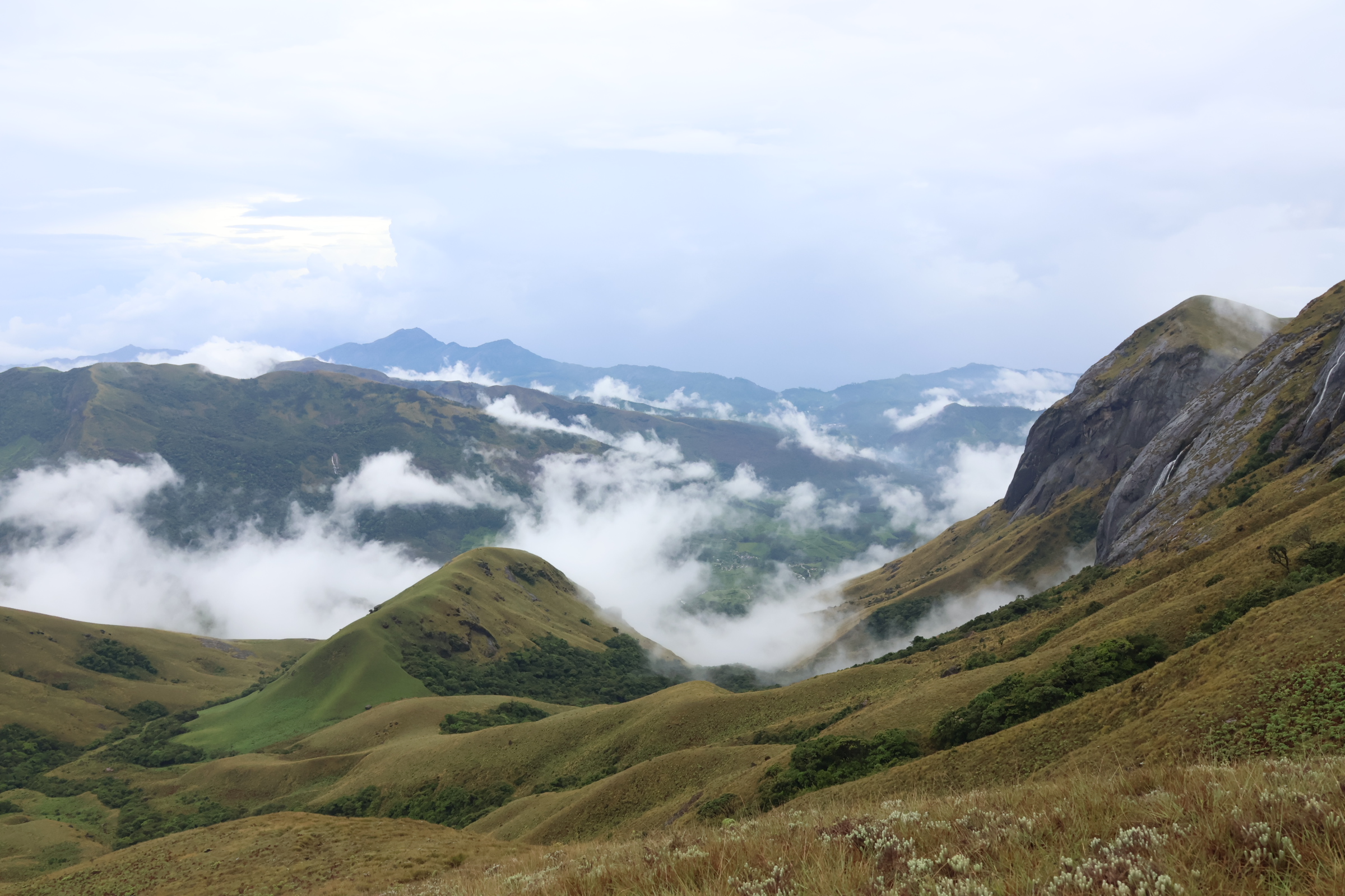 Unto Nature?s wilderness until harmonise our understandings to restore healthy ecosystems