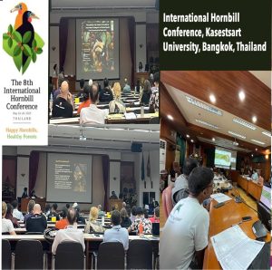 Research papers at International Hornbill Conference