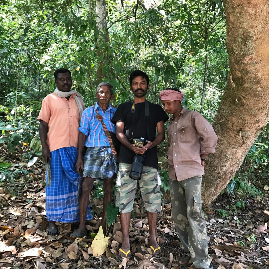 Ecological Monitoring Supporting Forest Working Plan