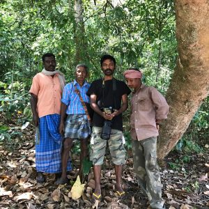 Ecological Monitoring Supporting Forest Working Plan