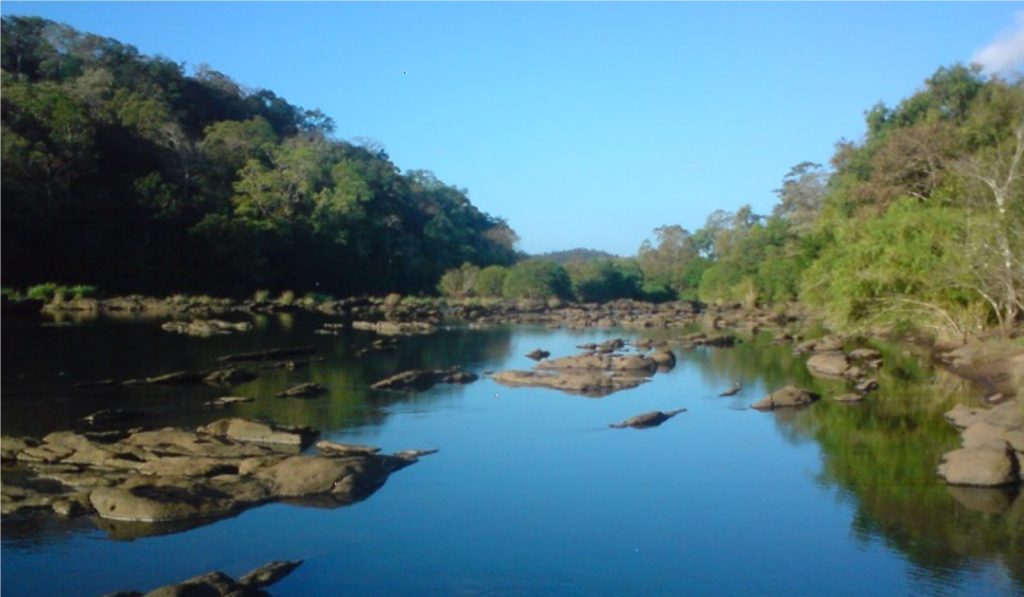 Riparian Ecorestoration in the Chalakudy River Basin
