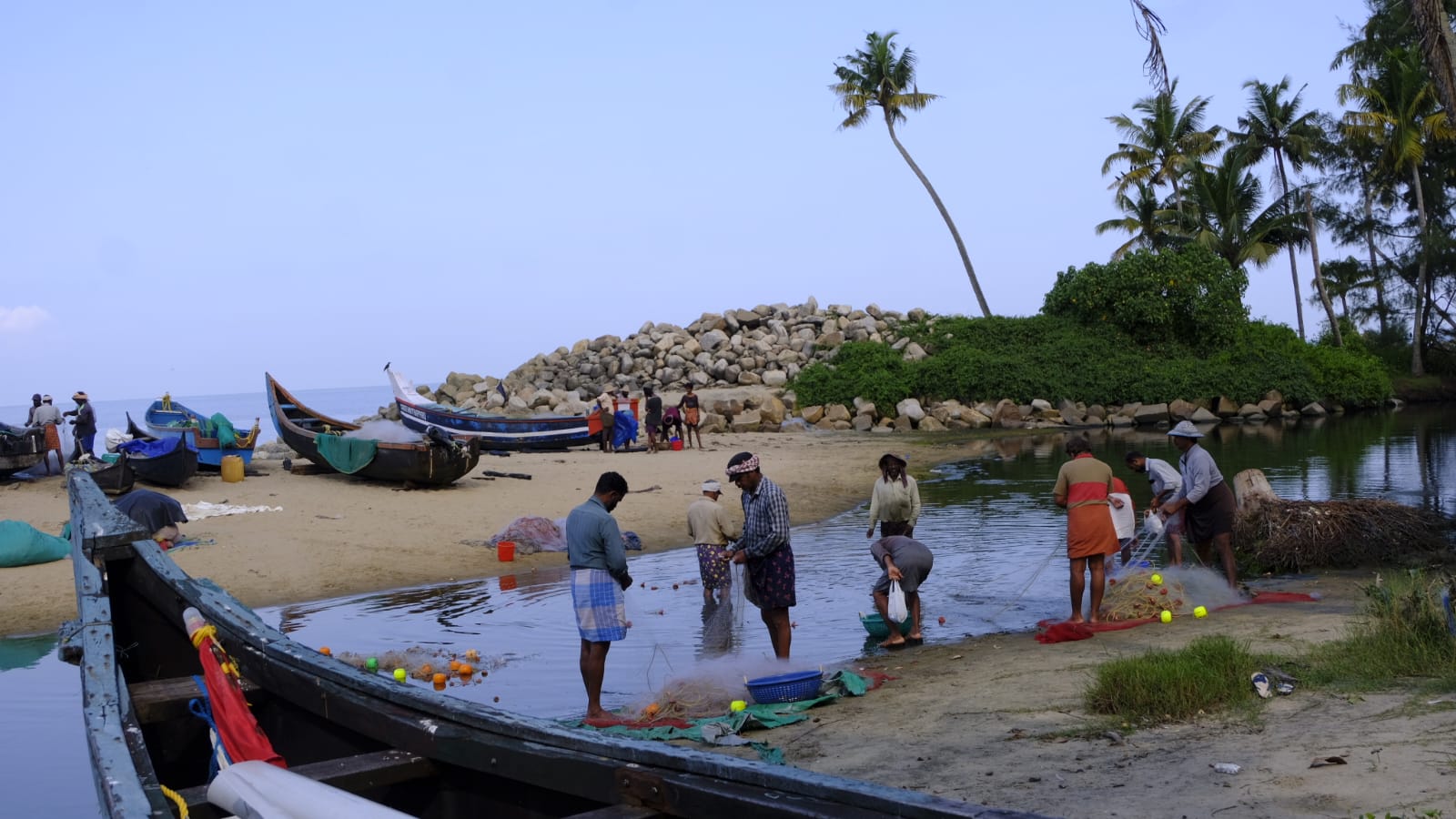 Peoples Biodiversity Register Updation