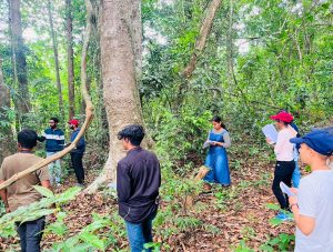 Carbon Estimation at Athirappilly Grama Panchayath