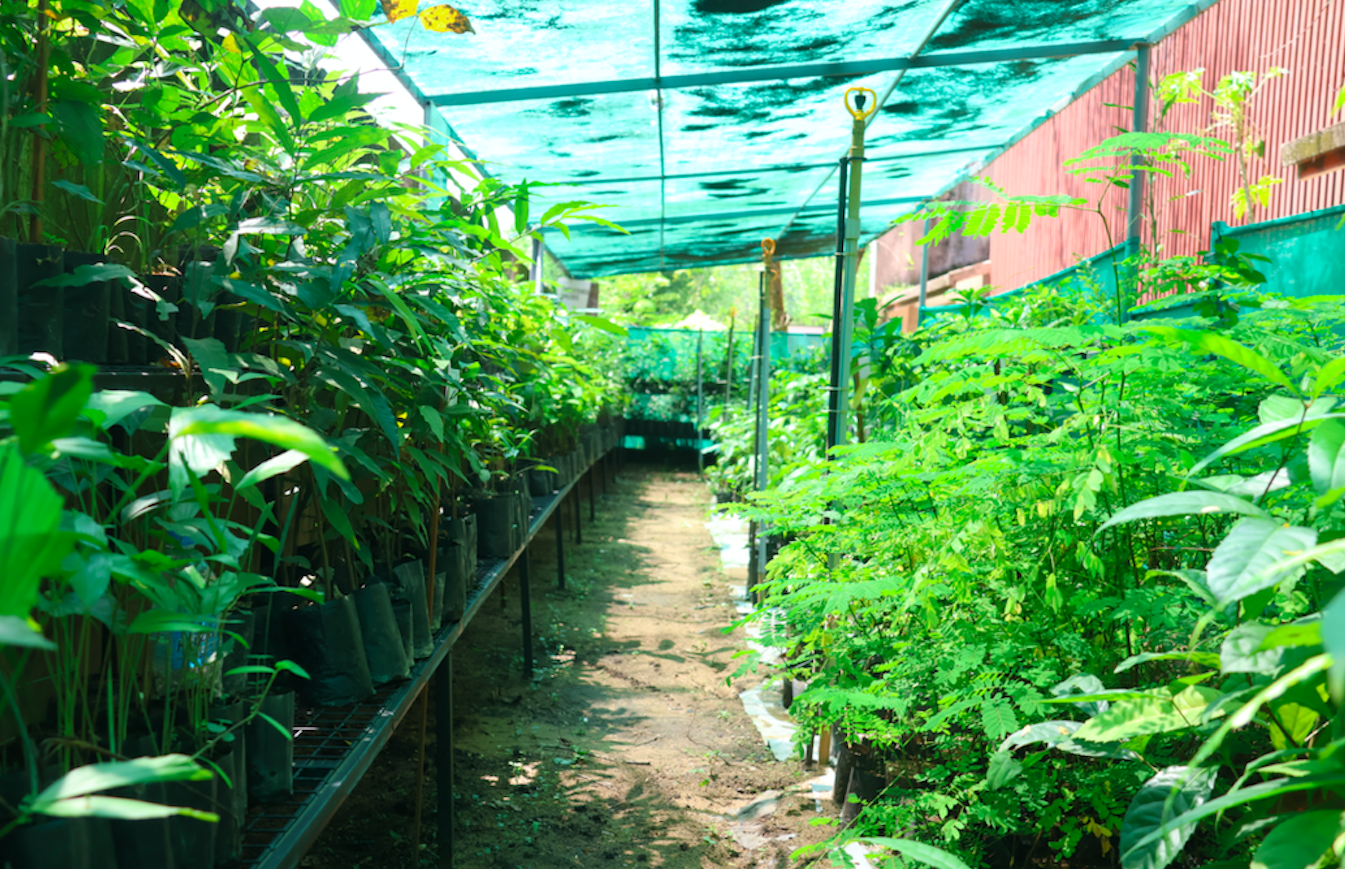 Threatened Species Nursery for Ecorestoration