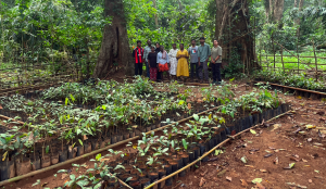 The Kadar Indigenous Community Nurseries
