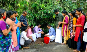 Reviving Sacred Landscapes: Restoring the Coastal Sacred Groves